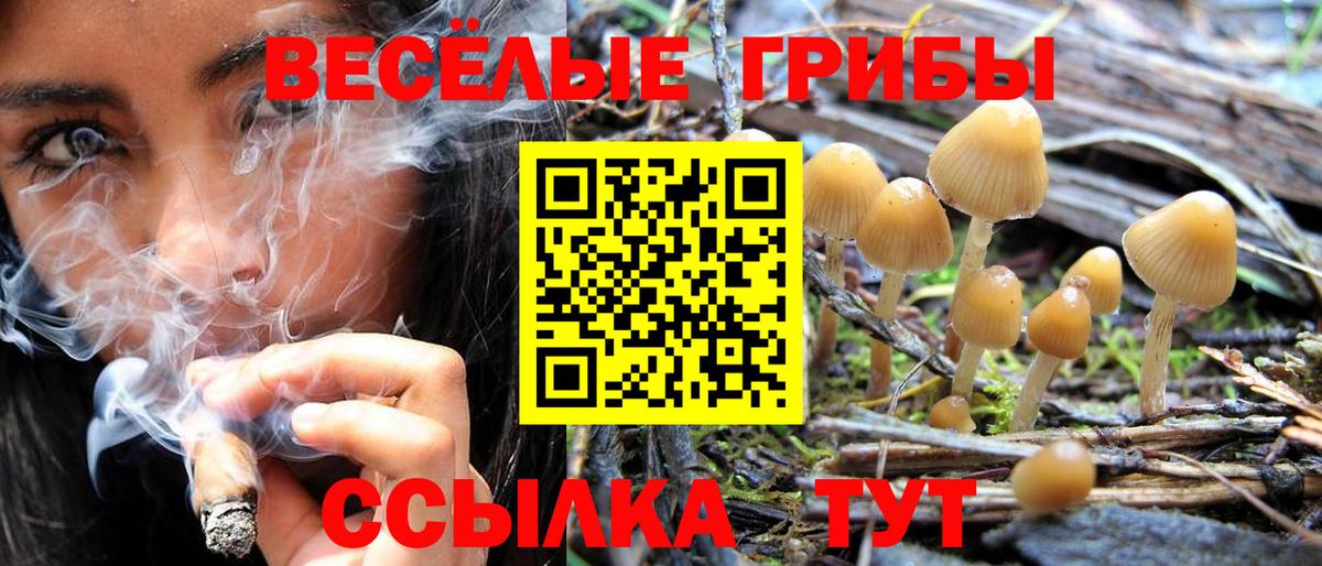 Норильск  Галлюциногенные грибы Magic Shrooms  купить закладку  Вход с VPN 